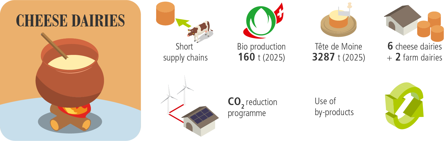 Cheese dairies and cheese maturing