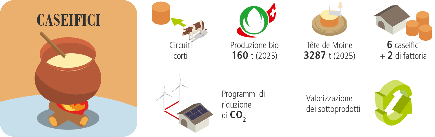 I caseifici e la stagionatura